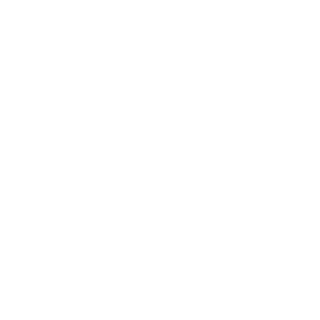 linkedin icon